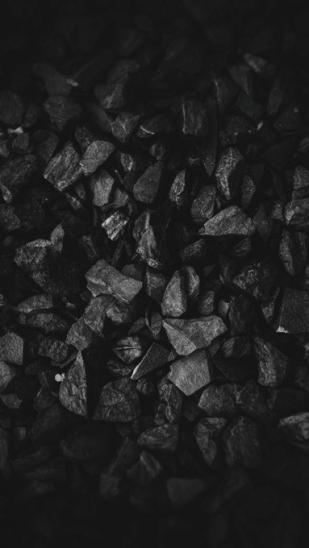 gallery/nick-nice-coal-600px